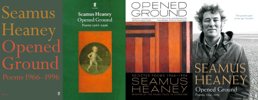 Seamus Heaney hailstones poem analysis Seamus Heaney hailstones poem analysis