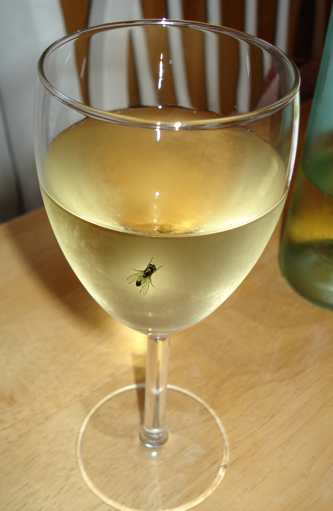 It's a black fly in your Chardonnay Ironic by Alanis Morissette