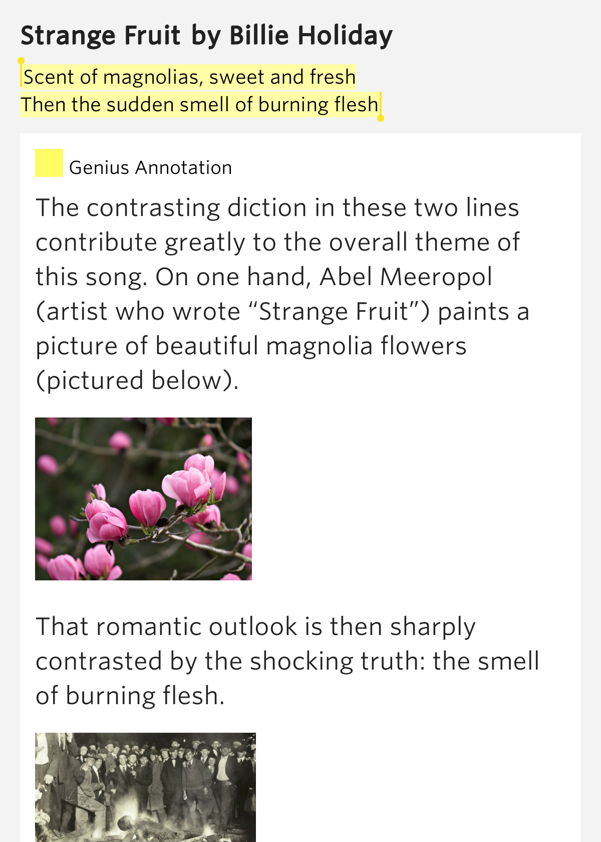 Scent of magnolias, sweet and fresh / Then the.. Strange Fruit