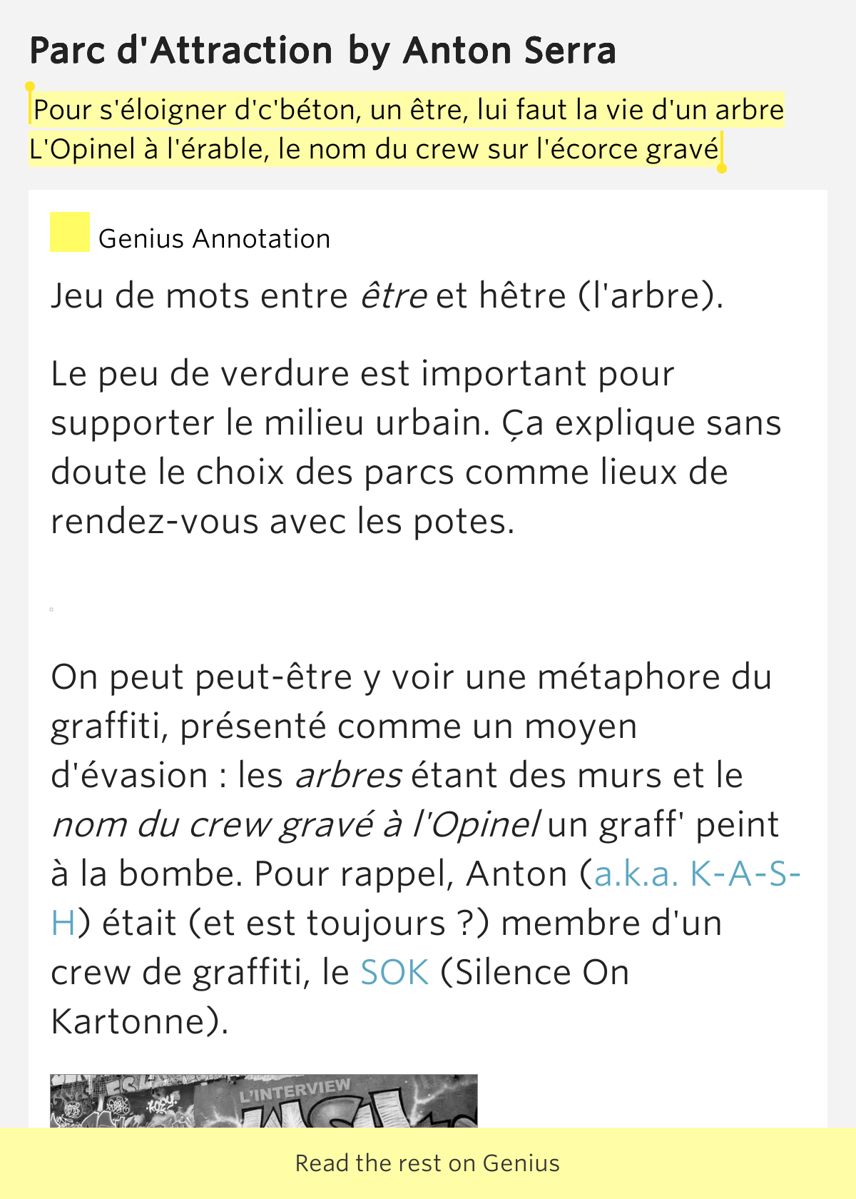 La tache convexe de pigment de la photo