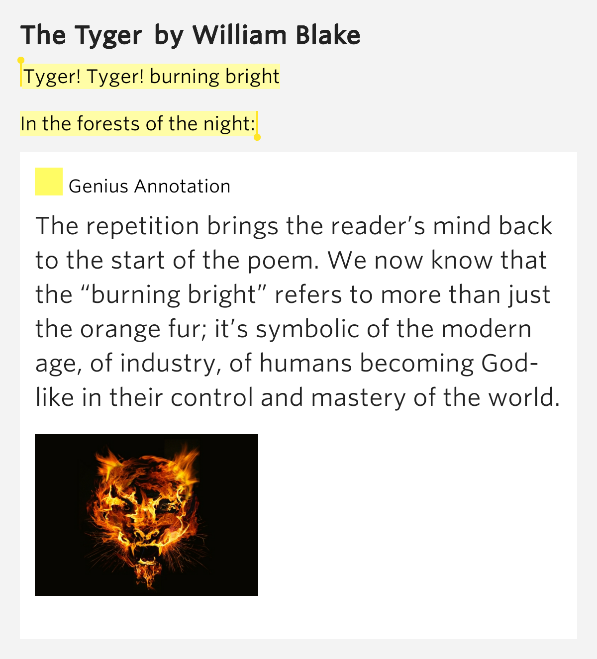 Tyger! Tyger! burning bright / In the forests of the.. The Tyger