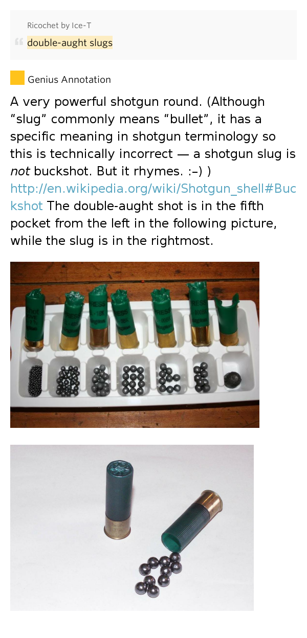 Doubleaught slugs Ricochet Lyrics Meaning