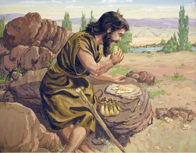 His meat was locust and honey John Saw That Number Lyrics Meaning