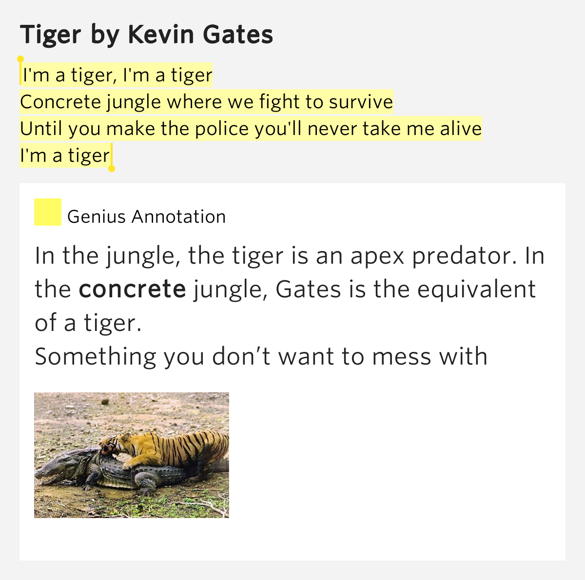 I'm a tiger, I'm a tiger / Concrete jungle where we fight to survive