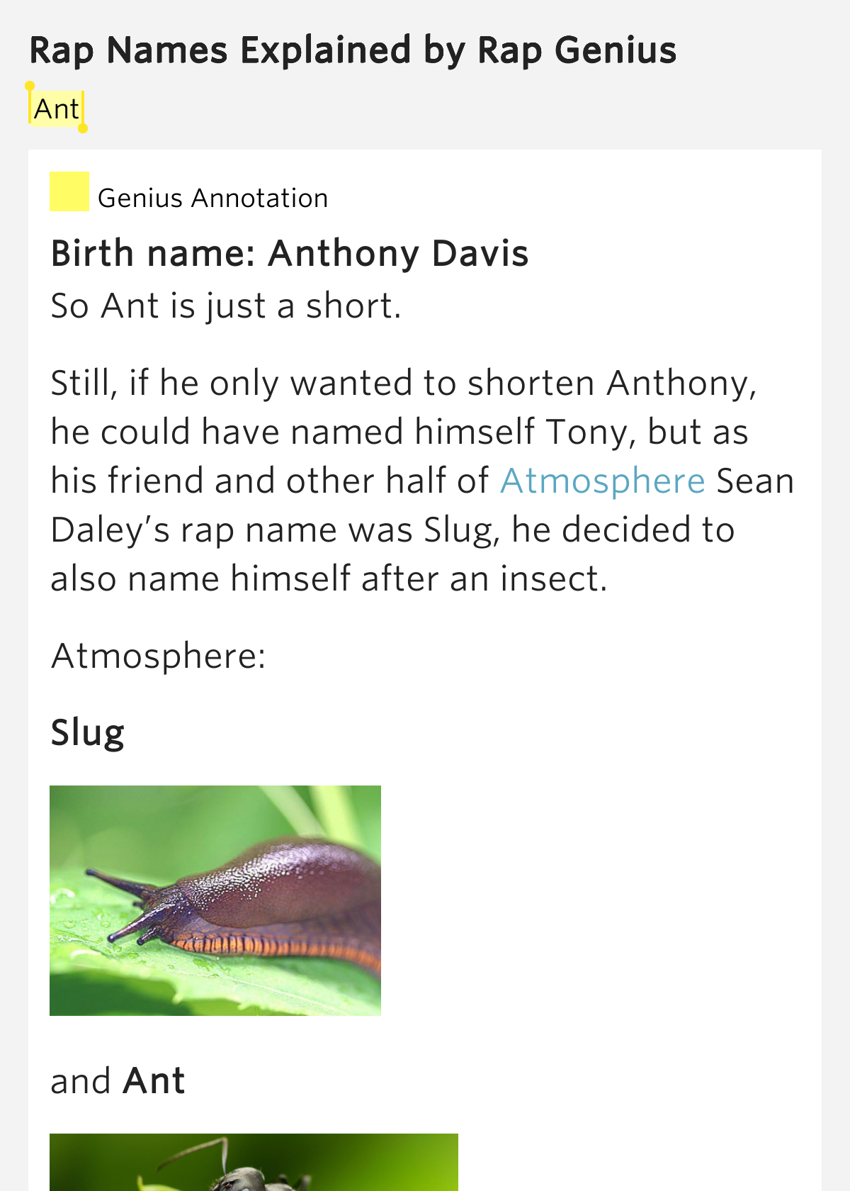 Ant Rap Names Explained Lyrics Meaning