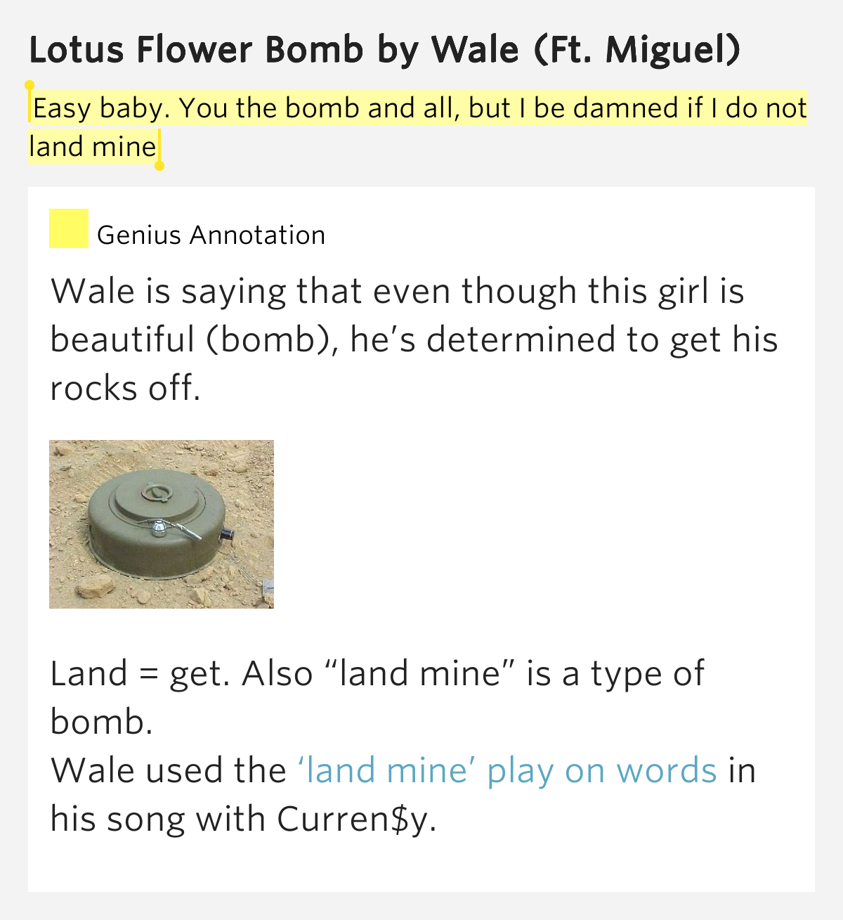 Meaning Of Lotus Flower Bomb Song