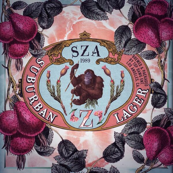 Image result for sza z album