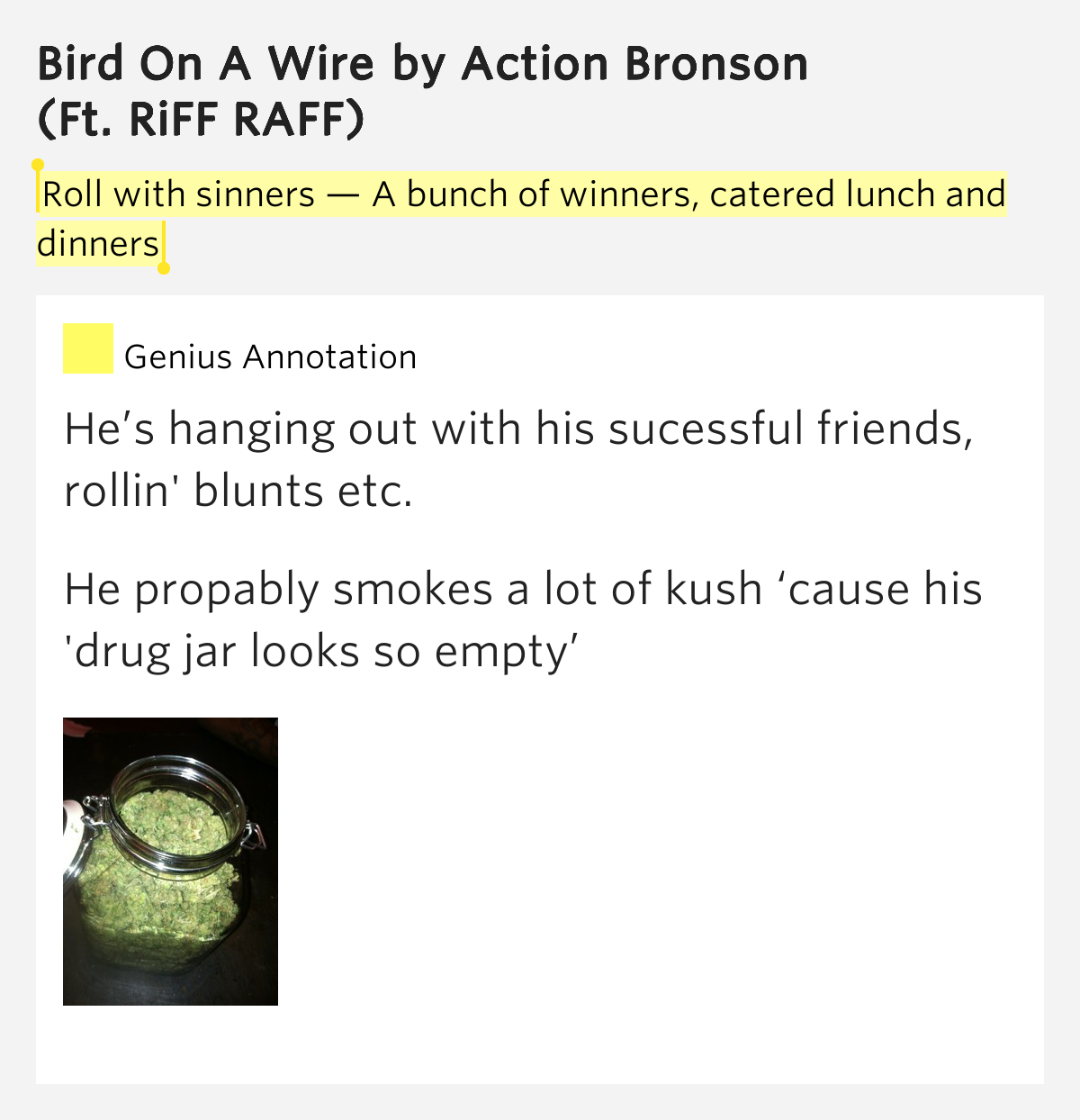 Bird On A Wire Lyrics Action Bronson
