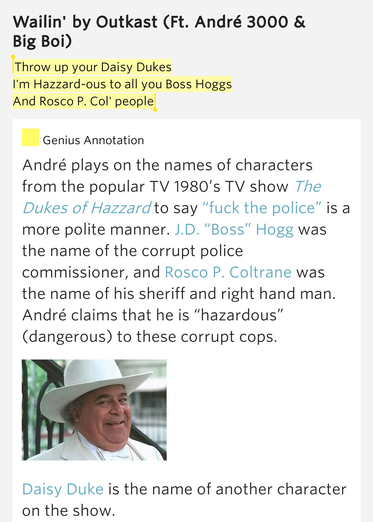 Throw up your Daisy Dukes / I'm Hazzardous to all you.. Wailin'