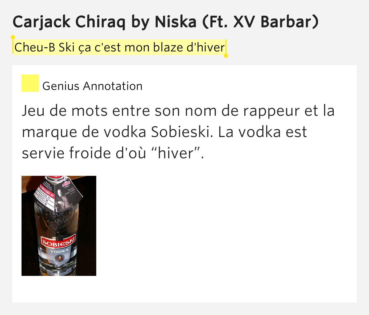 CheuB Ski ça c'est mon blaze d'hiver Carjack Chiraq by Niska