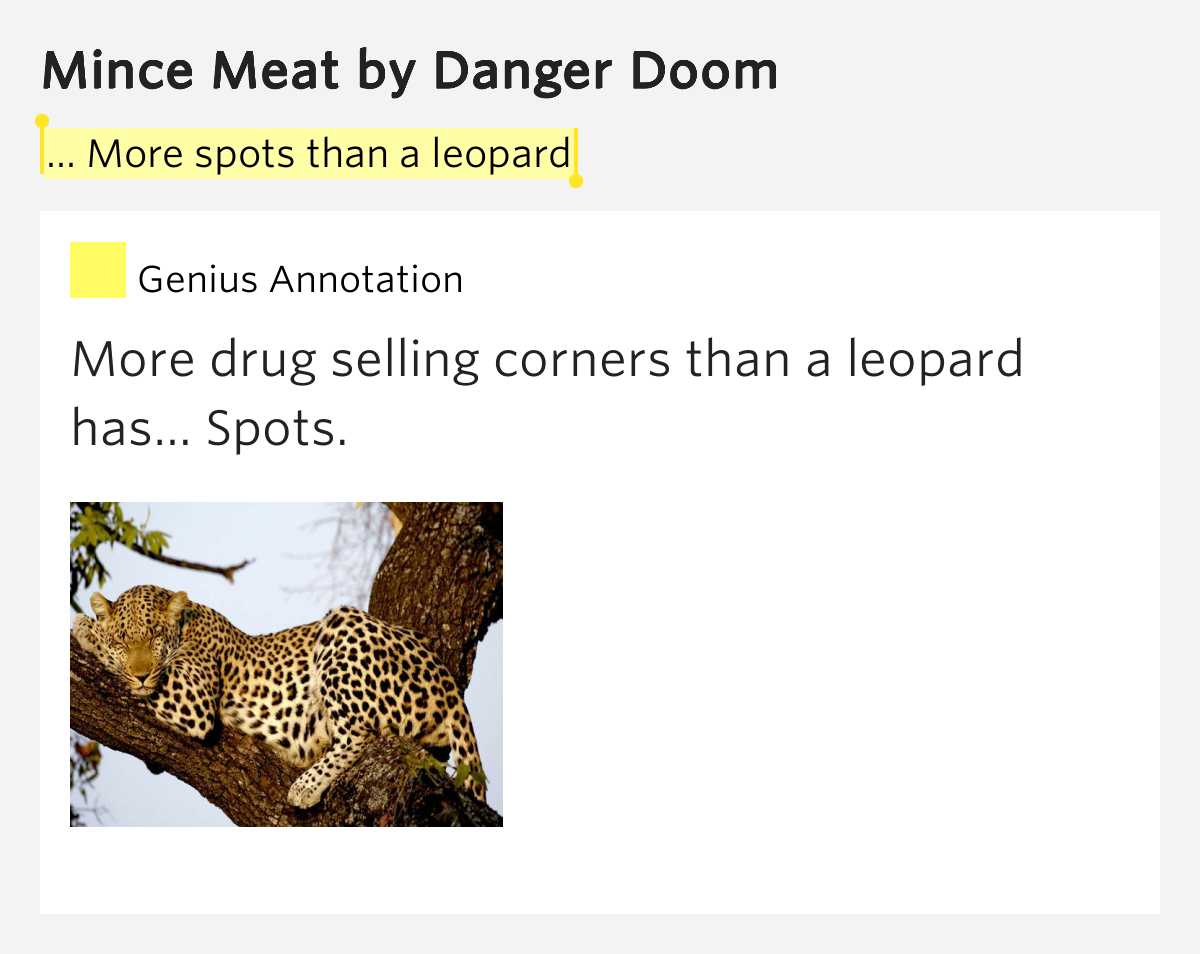More spots than a leopard Mince Meat Lyrics Meaning