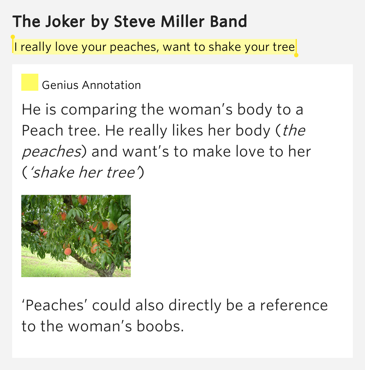 I Really Love Your Peaches Wanna Shake Your Tree Lyrics I really love your peaches, want to shake your tree – The Joker