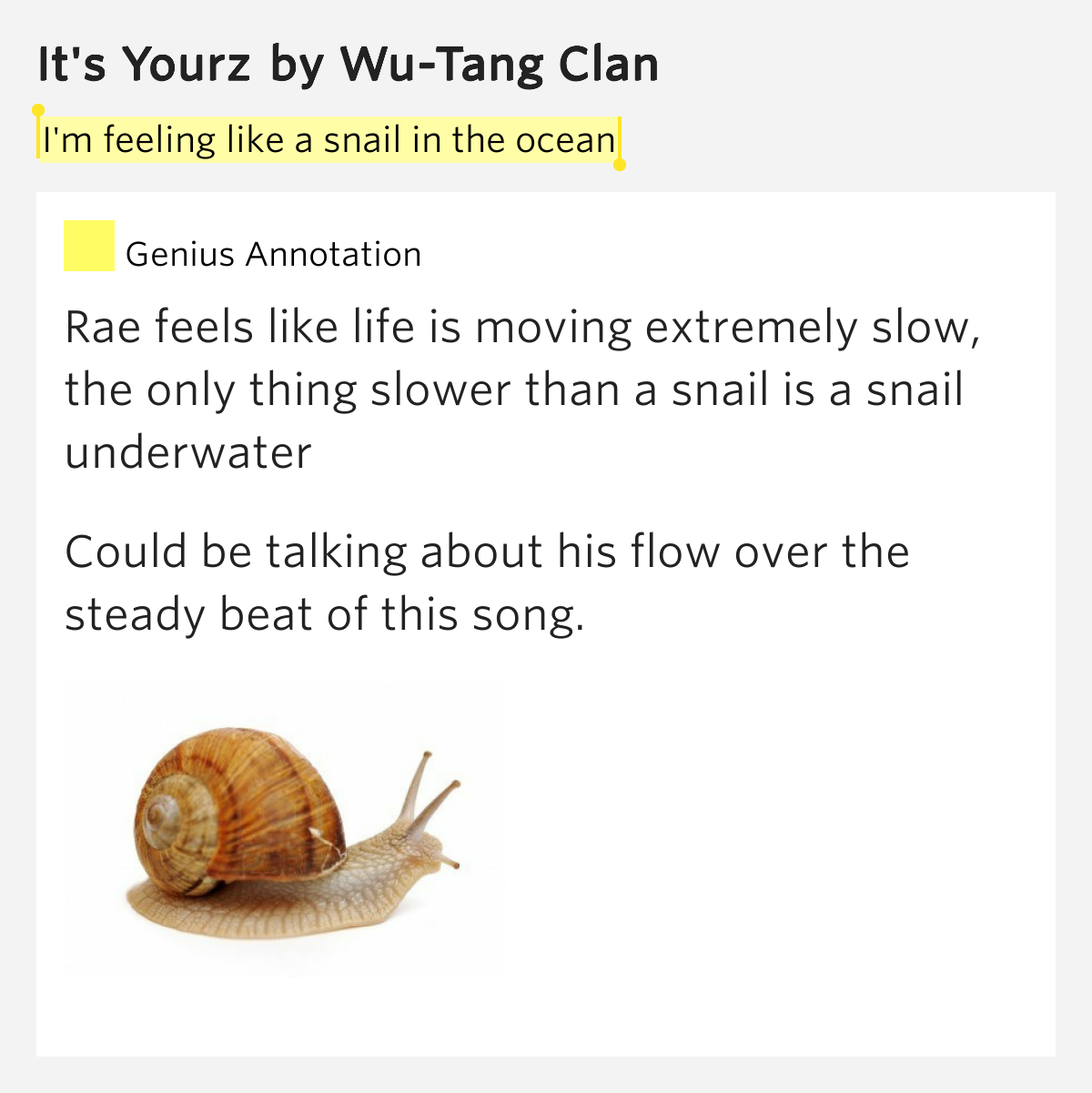 I'm feeling like a snail in the ocean It's Yourz Lyrics Meaning
