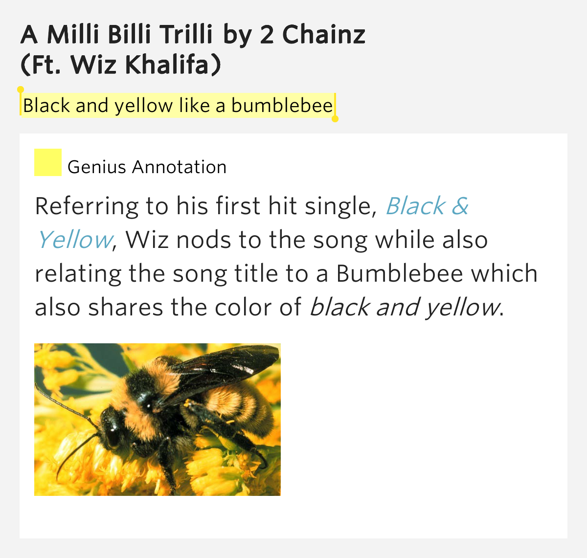 Black and yellow like a bumblebee A Milli Billi Trilli Lyrics Meaning
