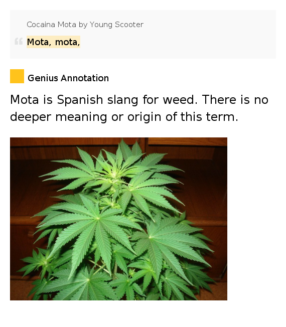 Mota, mota, Cocaina Mota by Young Scooter