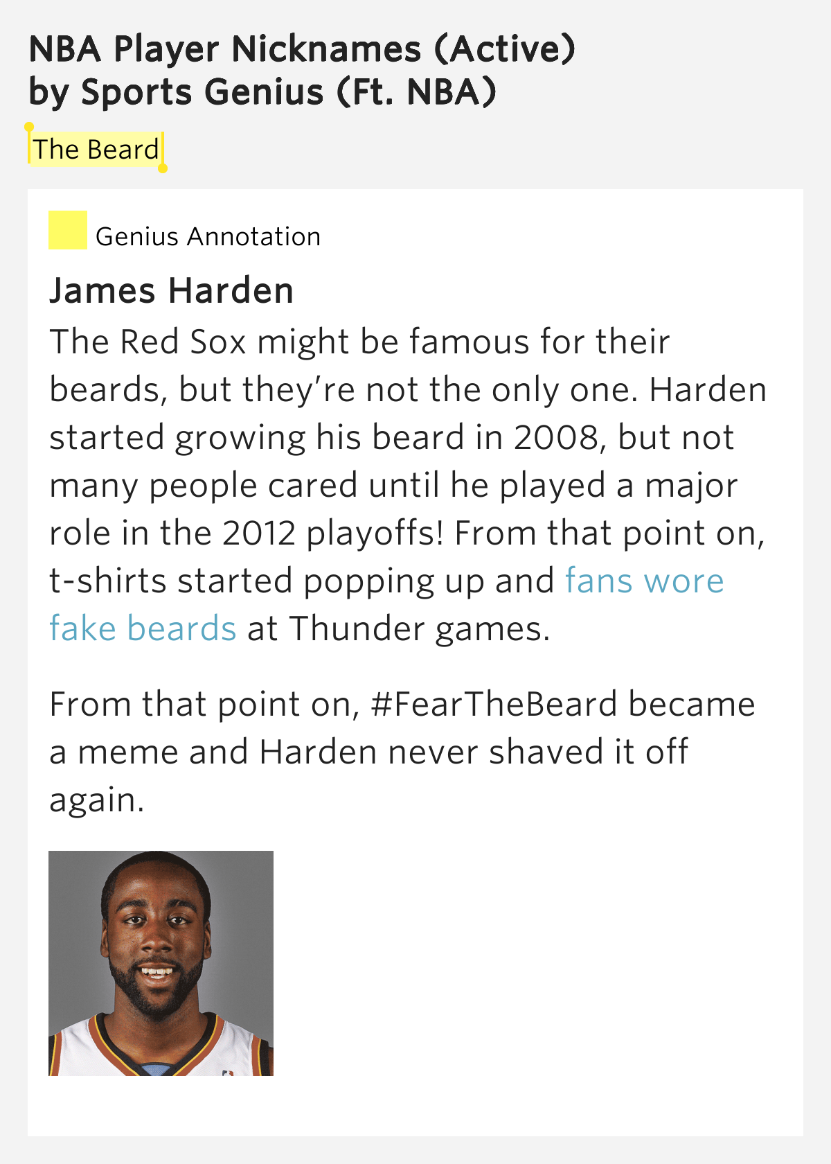 The Beard NBA Player Nicknames (Active) by Sports Genius