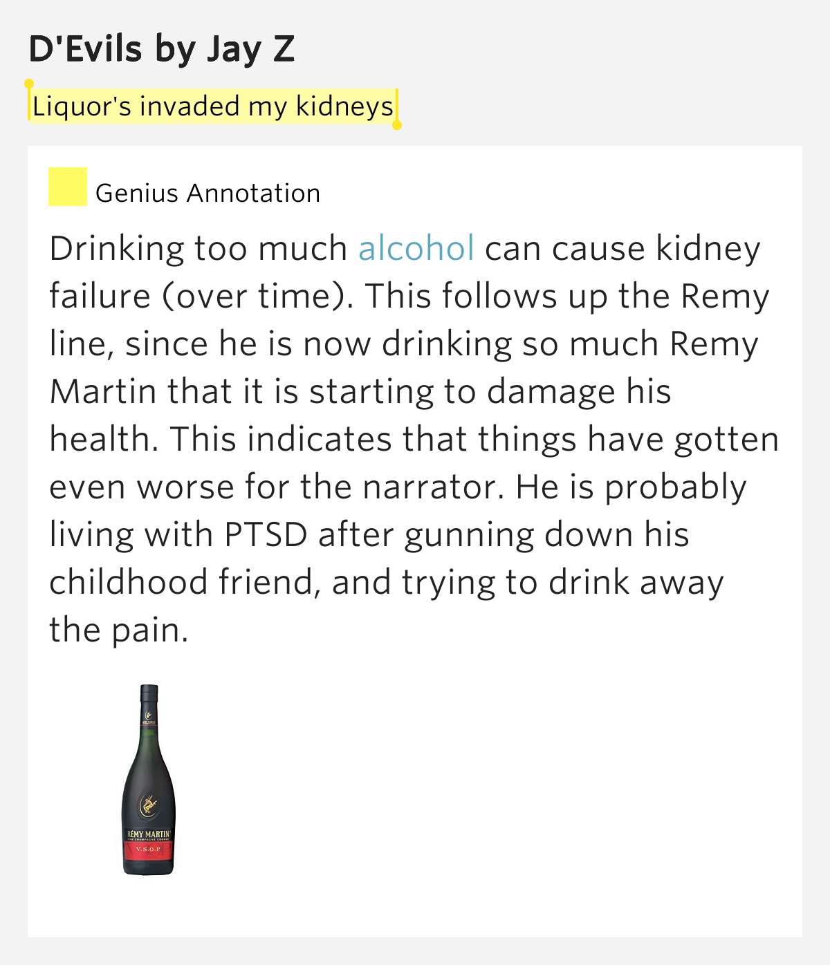 Liquor’s invaded my kidneys – D’Evils by Jay Z