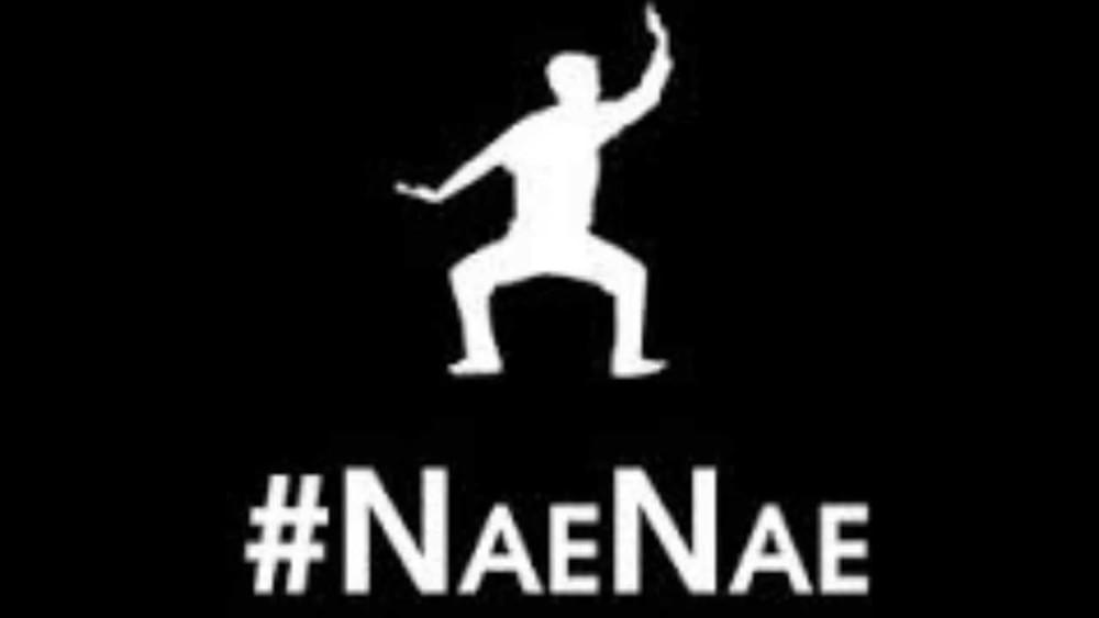 nae nae dance meaning