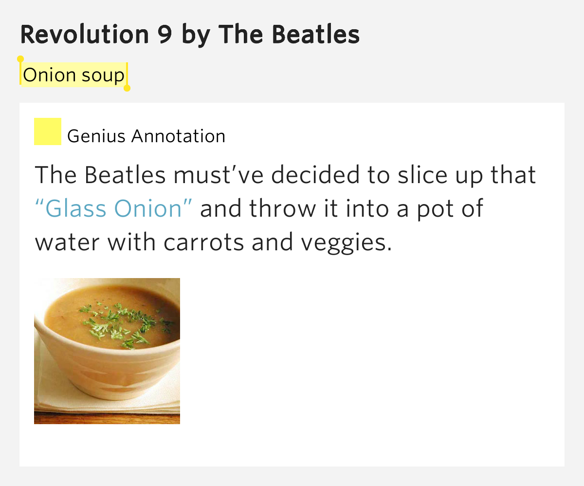 Onion soup Revolution 9 Lyrics Meaning