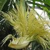 Girish's photo