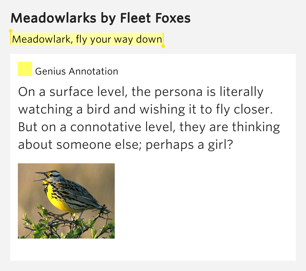 Meadowlark, fly your way down Meadowlarks Lyrics Meaning