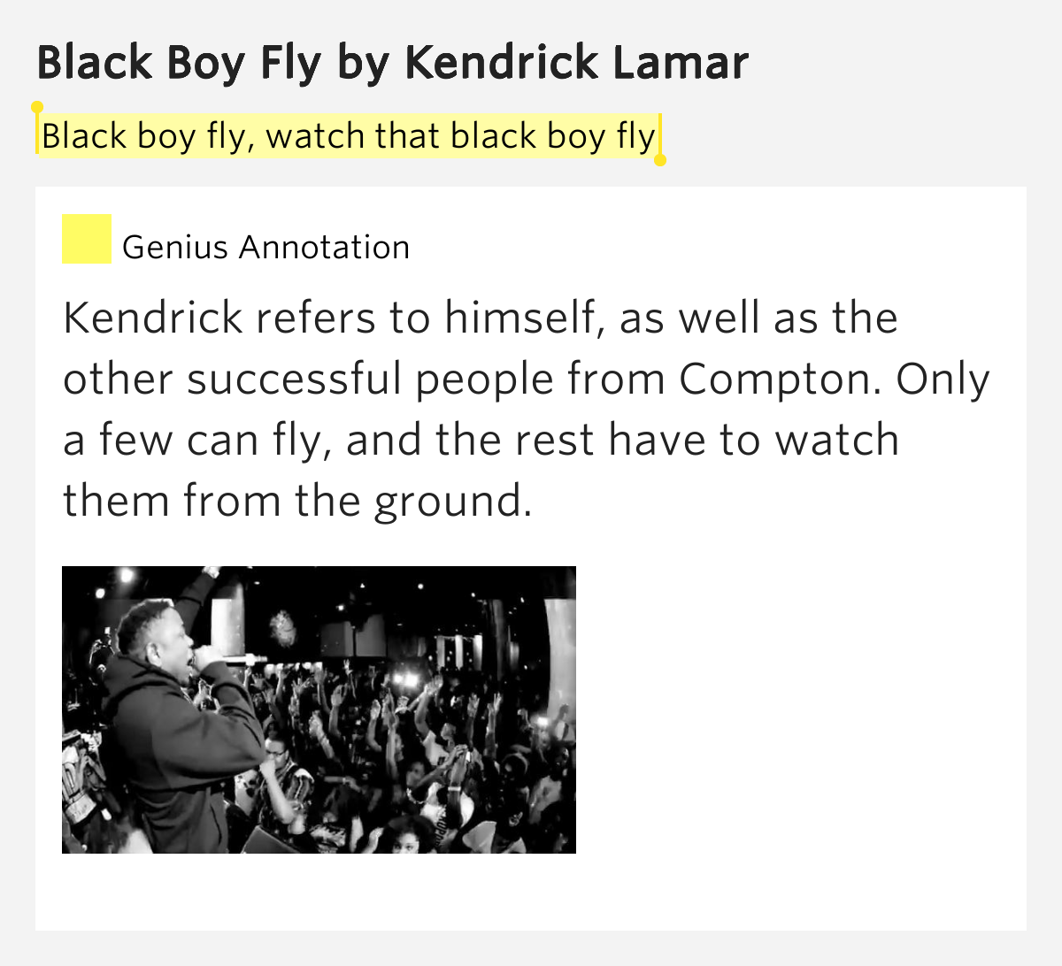 Black boy fly, watch that black boy fly Black Boy Fly