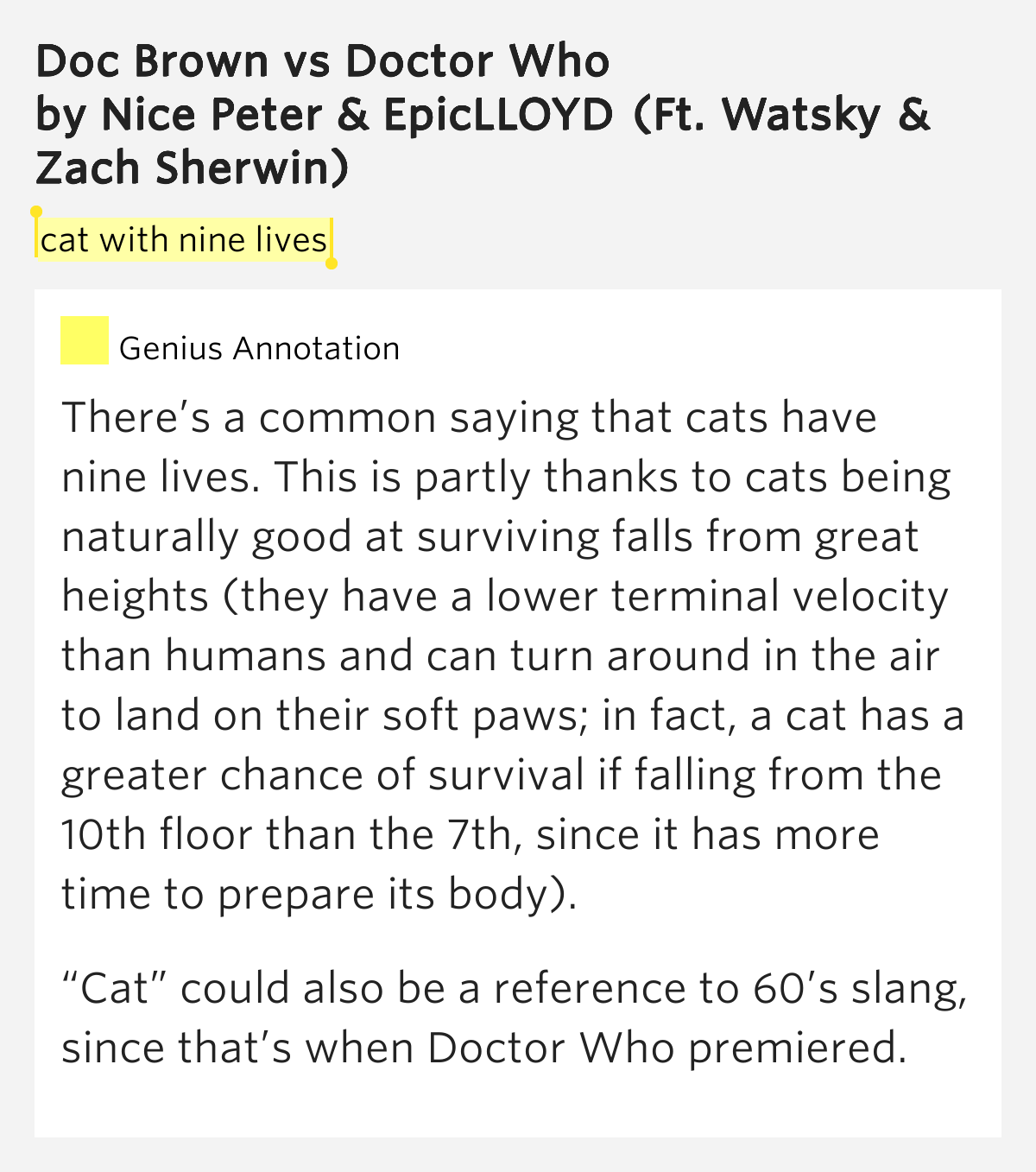 Cat with nine lives Doc Brown vs Doctor Who Lyrics Meaning