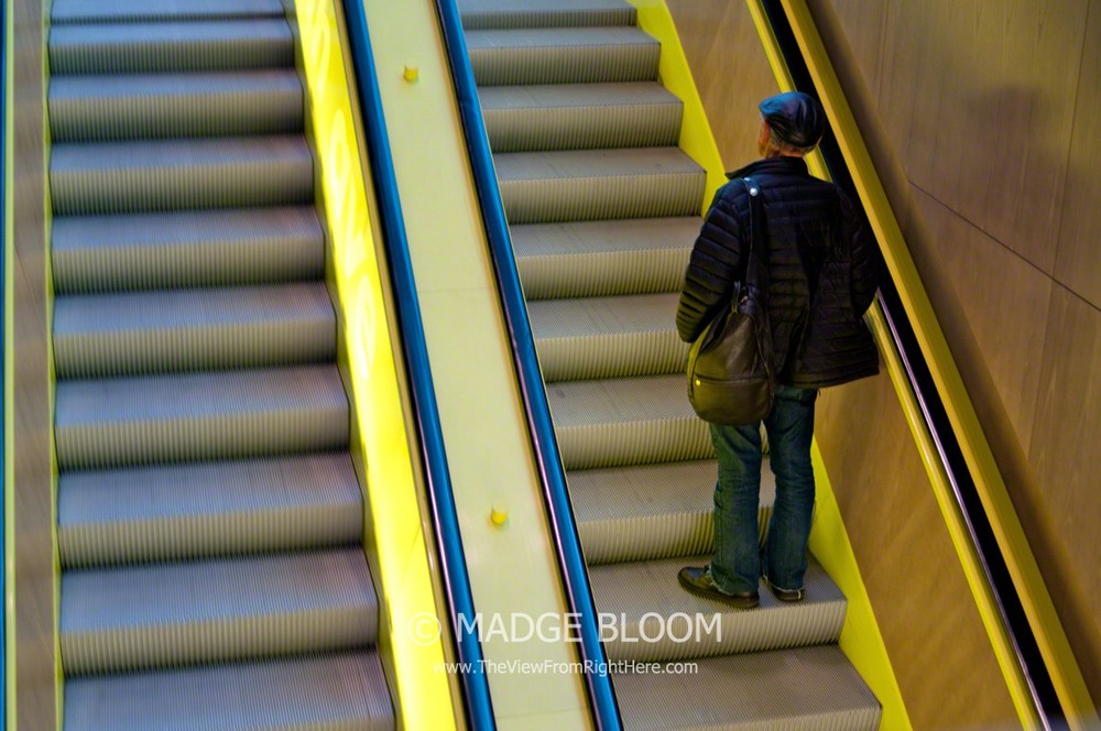 Climb The Ladder To Success Escalator Style You re Nobody Til Somebody Kills You Lyrics Meaning