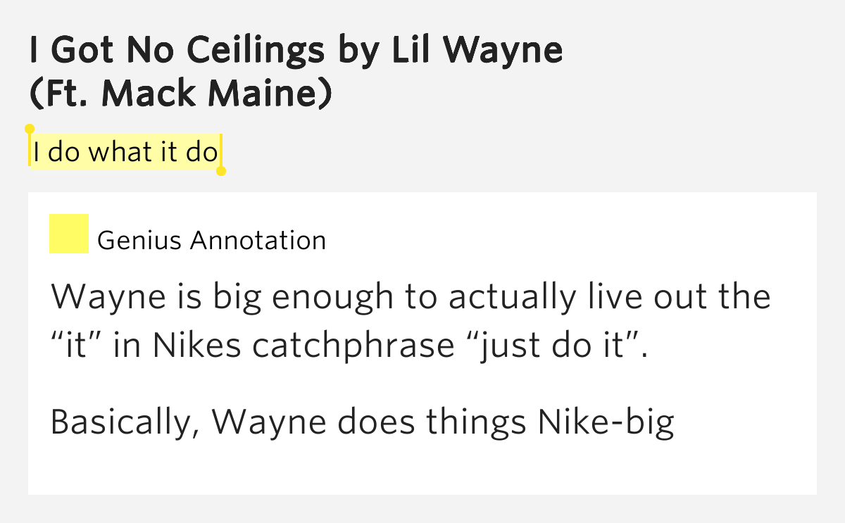 I Got No Ceilings Lil Wayne Lyrics i do what it do i got no ceilings lyrics meaning I Got No Ceilings Lil Wayne Lyrics i do what it do i got no ceilings lyrics meaning