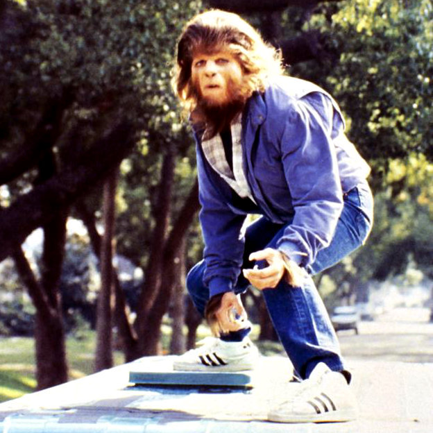 d6342747a726f048b9e5b4c5502dc4a2.624x624