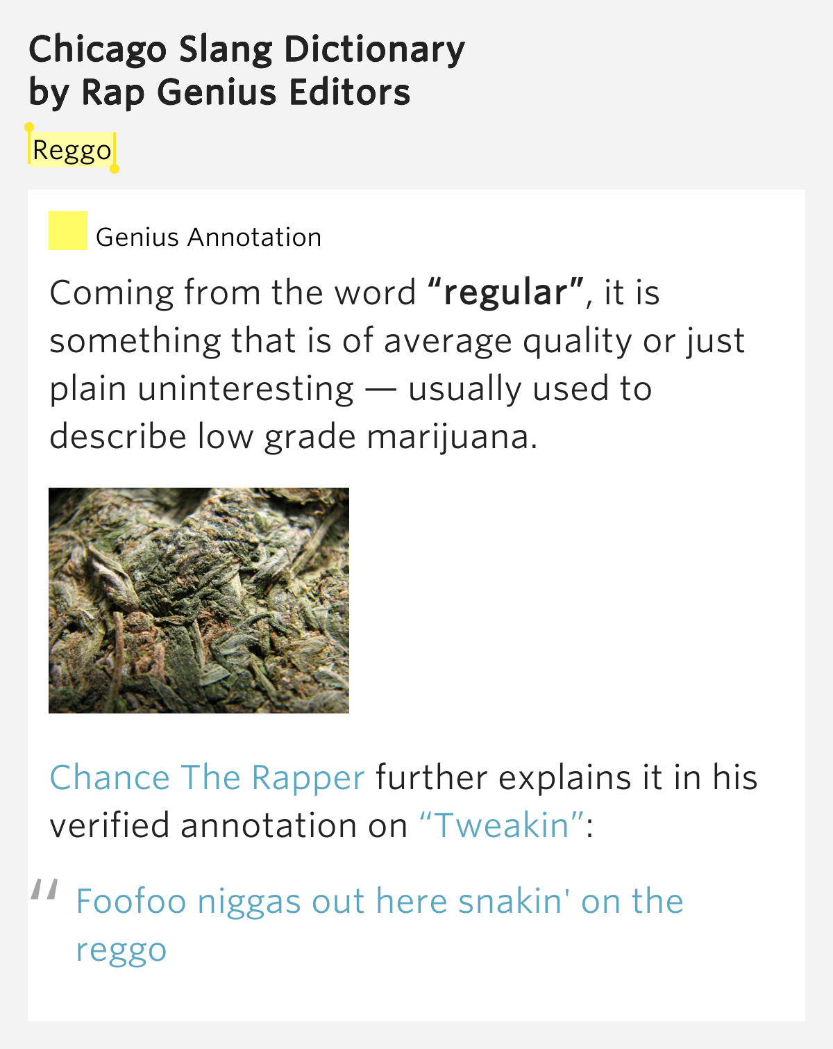 Reggo Chicago Slang Dictionary Lyrics Meaning