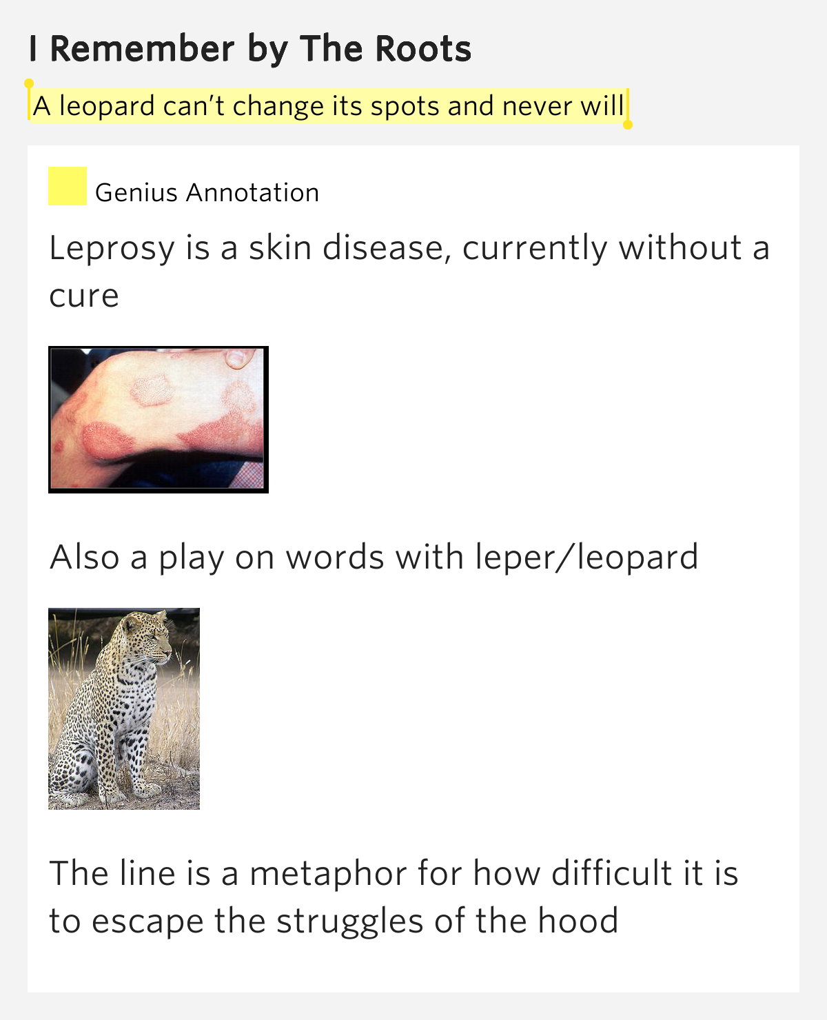 A leopard can’t change its spots and never will – I Remember Lyrics Meaning