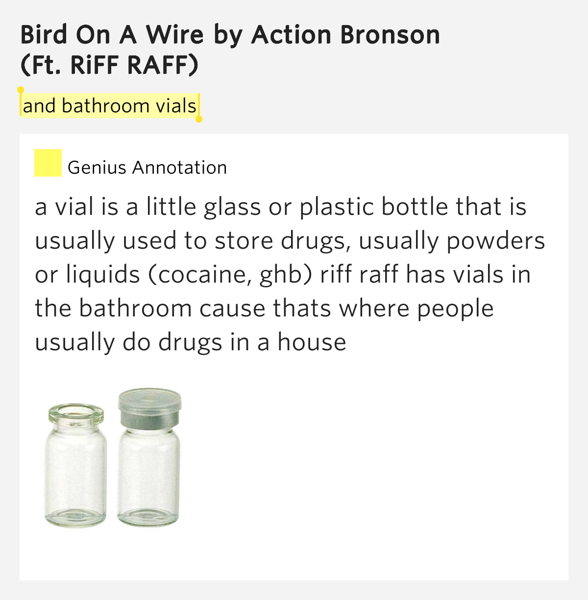 Bird On A Wire Lyrics Action Bronson