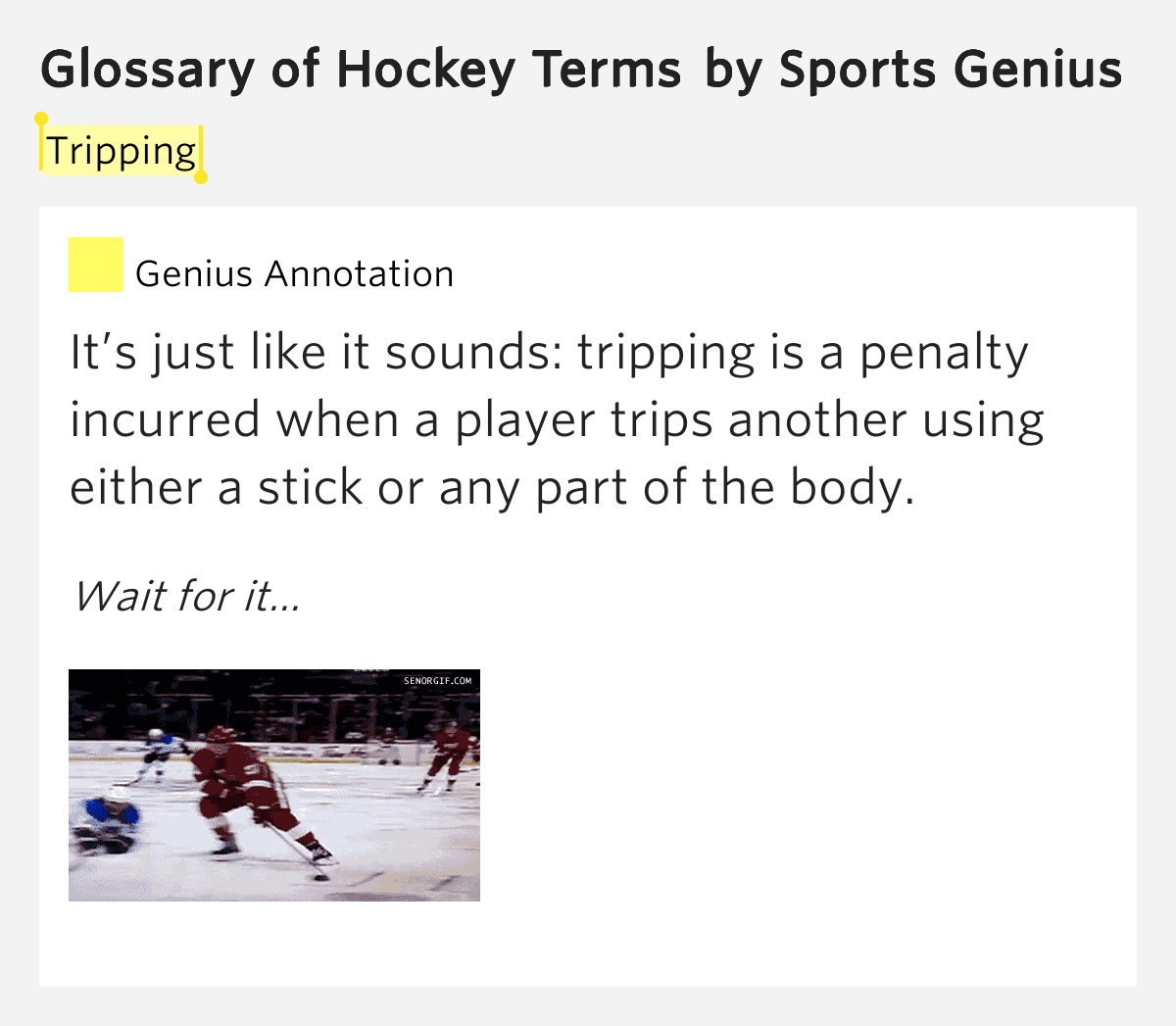 Tripping Glossary of Hockey Terms by Sports Genius
