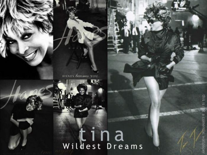 TINA TURNER WILDEST DREAMS COVER tina turner wildest dreams cover: