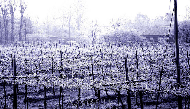 the coldest winter ever personal The coldest winter ever tells of the story of a young woman named winter she was born into a family drug operation she was born into a family drug operation her father was a drug kingpin. the coldest winter ever personal The coldest winter ever tells of the story of a young woman named winter she was born into a family drug operation she was born into a family drug operation her father was a drug kingpin.