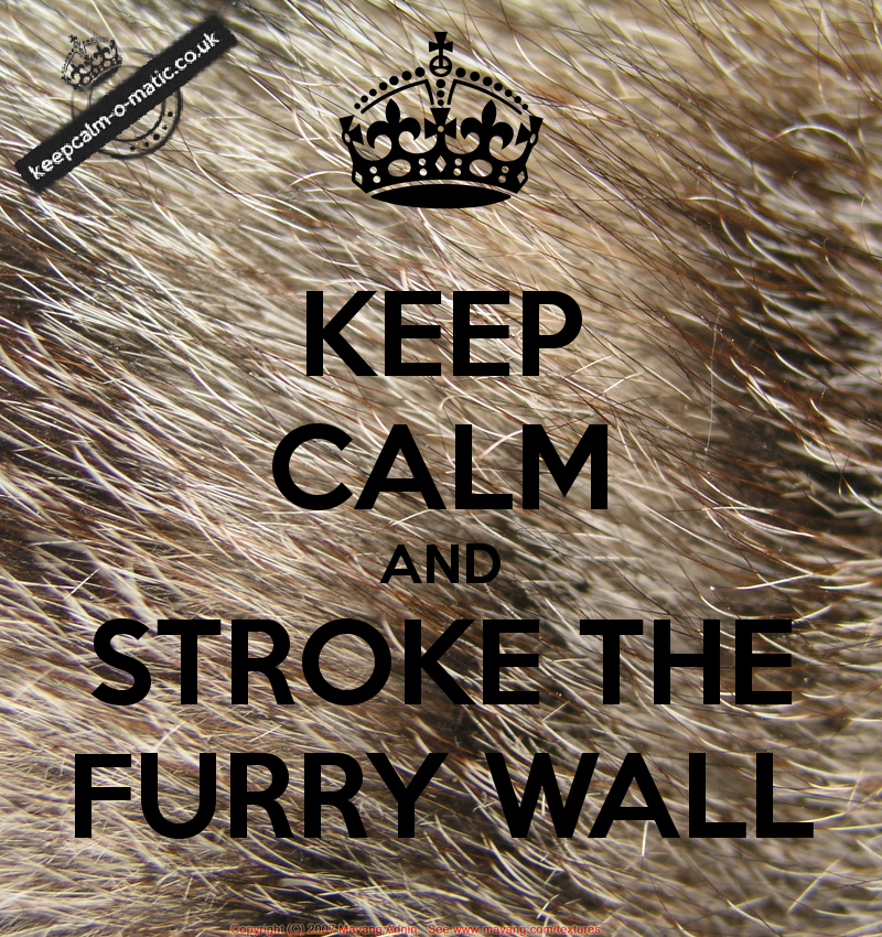 Infant Sorrow Furry Walls Lyrics Genius