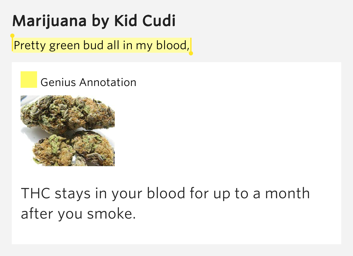 Big Bud - Notorius Big Bud E.P. Big Bud - Notorius Big Bud E.P.