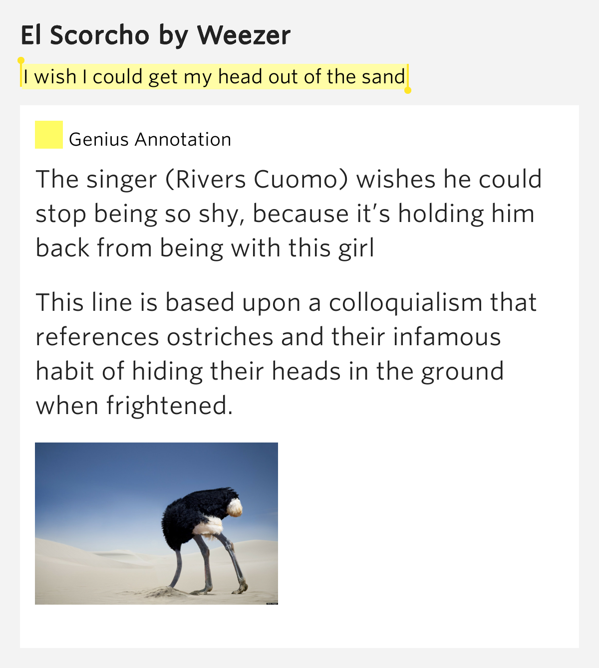 I wish I could get my head out of the sand El Scorcho Lyrics Meaning