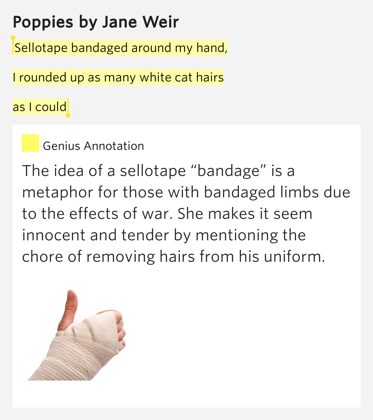 Sellotape bandaged around my hand, / I rounded up as.. Poppies