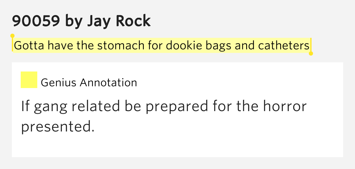 Gotta have the stomach for dookie bags and catheters 90059 Lyrics Meaning
