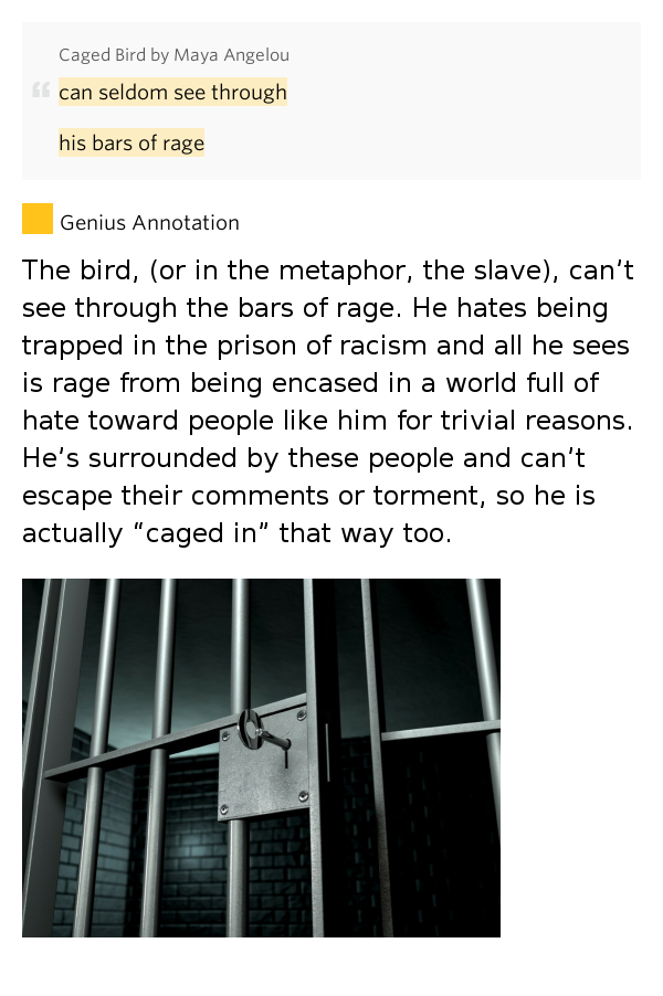 Can seldom see through / his bars of rage Caged Bird