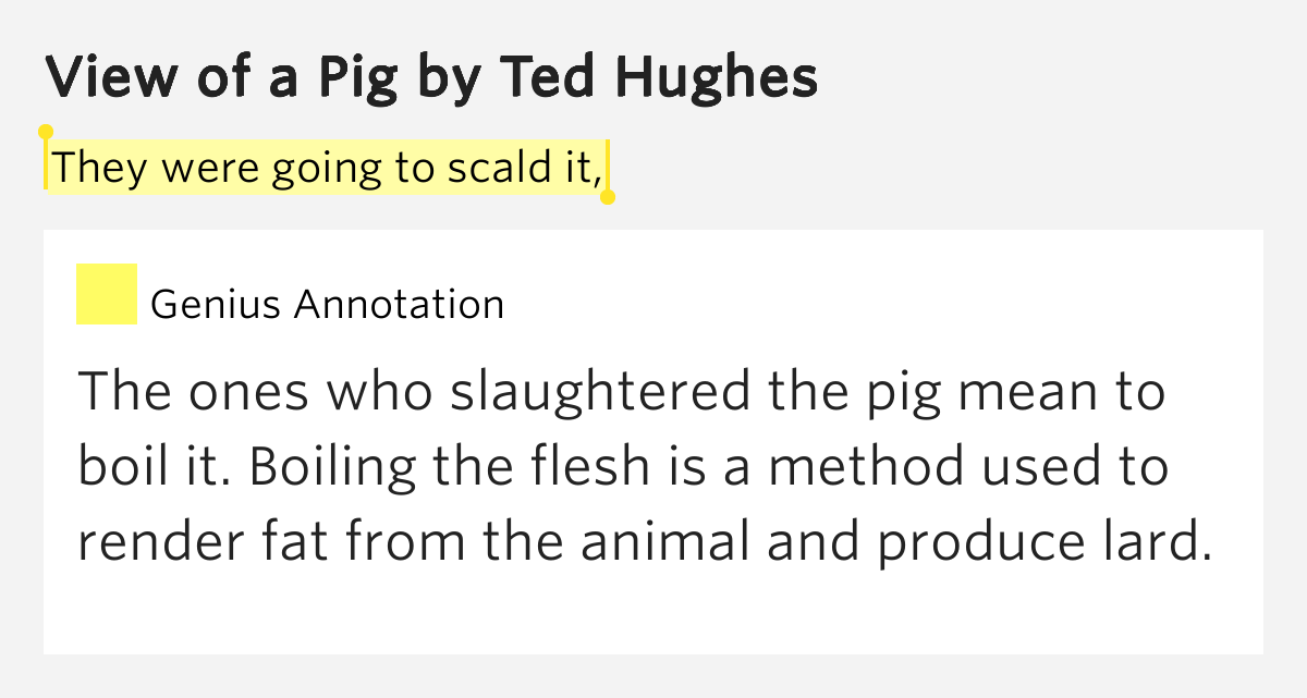 ted hughes view of a pig essay The spoken word: poetry in the making (audio) author: hughes, ted oswald, alice (essays) published by the british library, 2008 2cd the british library has published two double-cd sets of recordings from the bbc archives. ted hughes view of a pig essay The spoken word: poetry in the making (audio) author: hughes, ted oswald, alice (essays) published by the british library, 2008 2cd the british library has published two double-cd sets of recordings from the bbc archives.