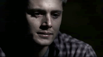 f17d14bf8fea9f3fd7a928bfc5873dd3.350x194x64.gif
