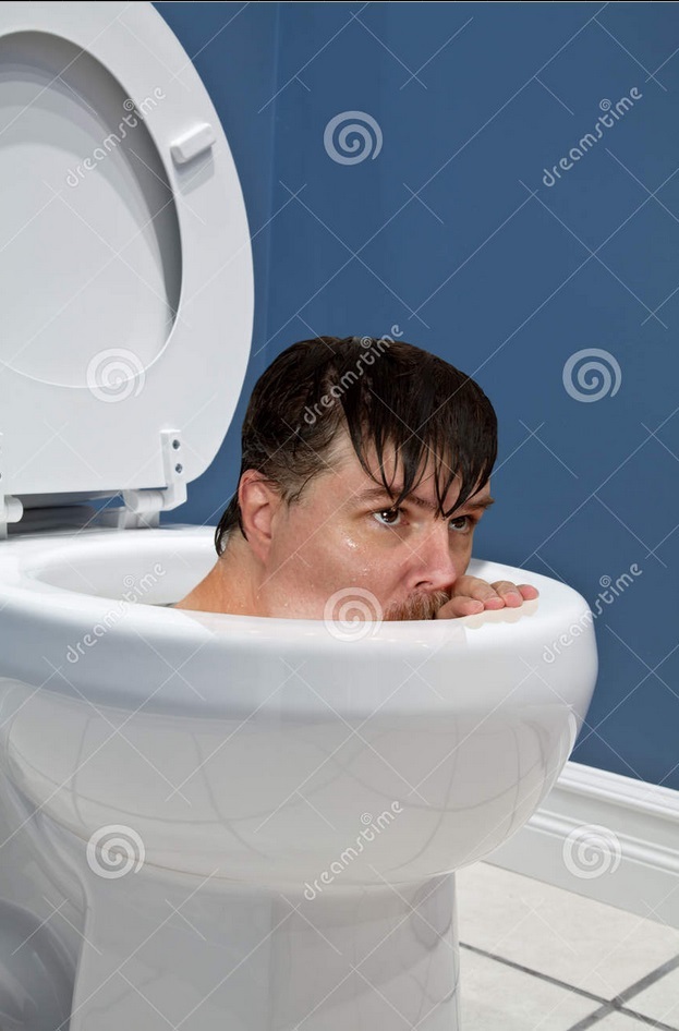 Do you wipe standing up or sitting down? Genius