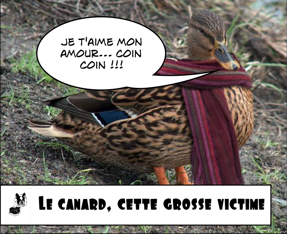 Grand corps malade rencontres lyrics youtube
