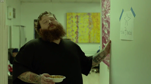 Bird On A Wire Lyrics Action Bronson