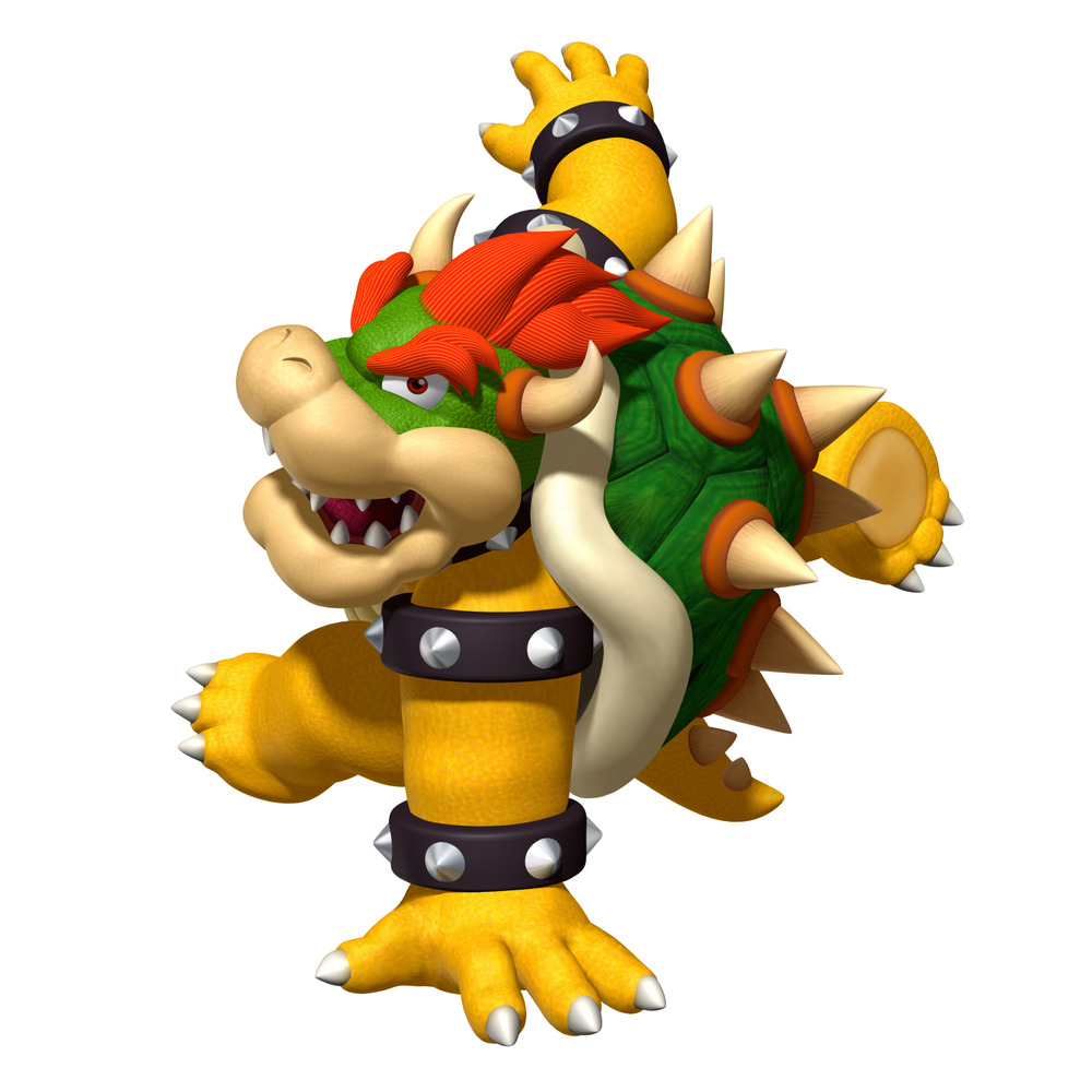 Bowser x