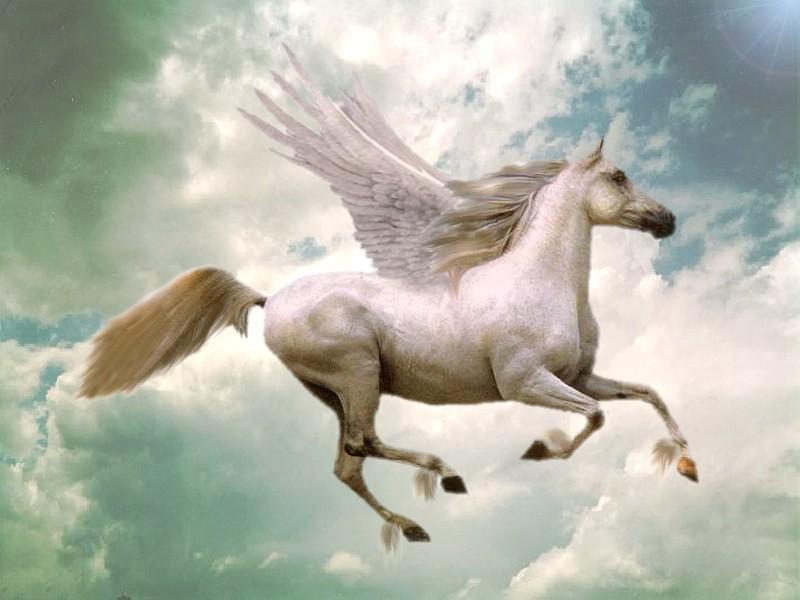 Белая лошадь с крыльями. Огненный крылатый конь. Мифический конь. Пегас. Полет хорс.