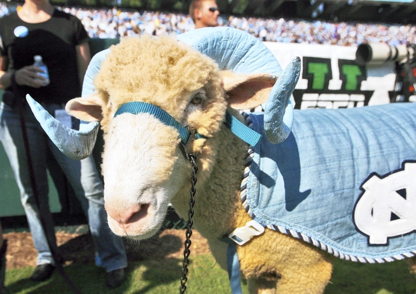 NCAA College Football Mascots (Division I) Genius